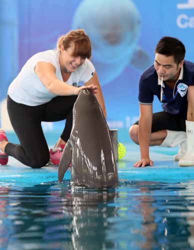 轻易突破 轻易突破