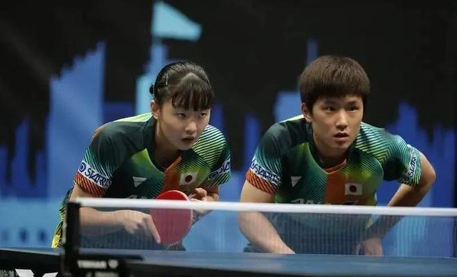 的不足之处 的不足之处